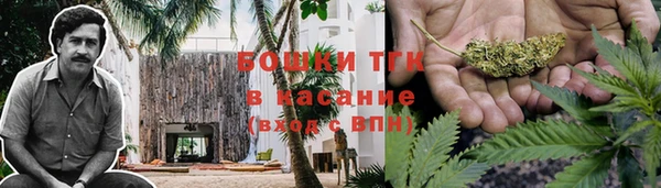 молекула духа Балабаново